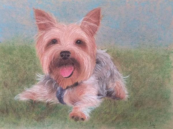 York - giz pastel